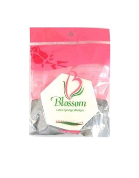 Blossom Wedge Sponge