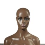 Dummy Head Display