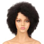 Lady Rainbow Afro Wig