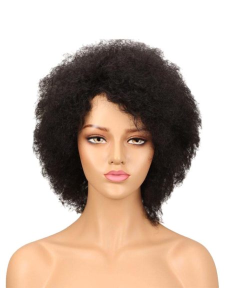 Lady Rainbow Afro Wig