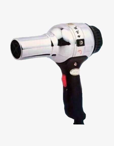 Paidi Hair Dryer