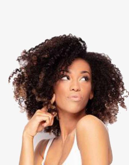 Rosemary  Cribbian Curl 10'