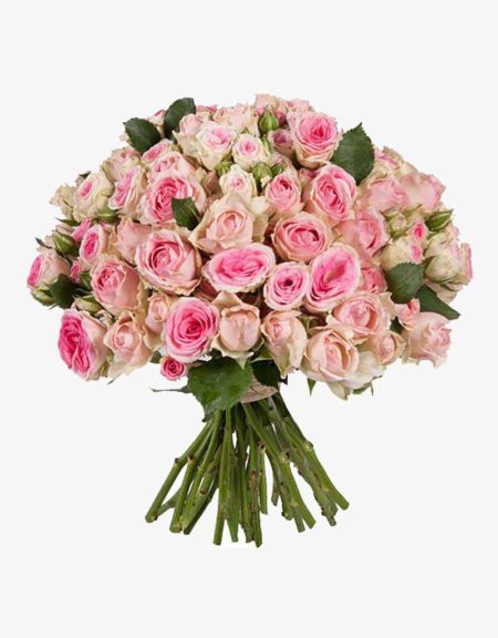 Tendre Bouquet