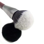 blossom powder brush