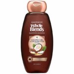 garnier whole blends shampoo